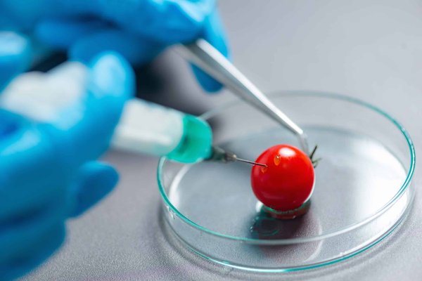 How to Choose the Right Aftermarket Performance Exhaust for a Subaru Legacy GT?