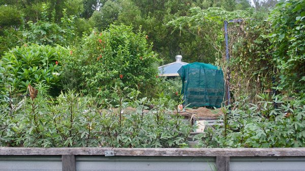 Can Urban Permaculture Feed UK's Growing Population Sustainably?